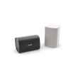 BOSE DESIGNMAX DM6SE