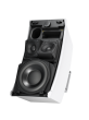 BOSE FS DS100SE LDSPKR ASSY
