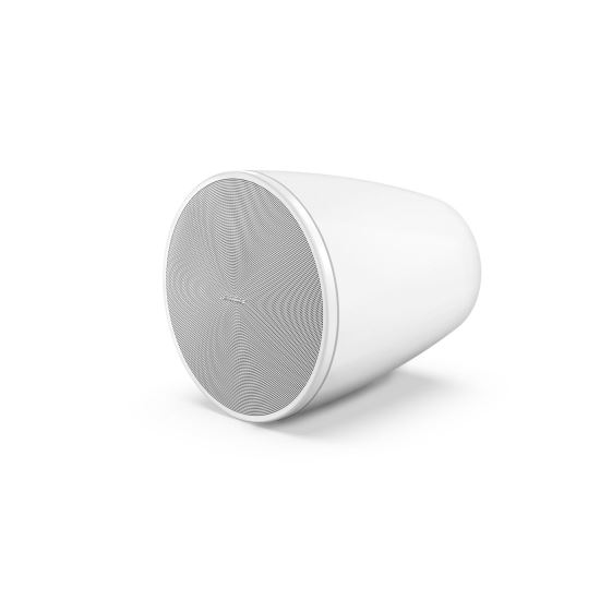 Bose DesignMax DM6PE Loudspeaker
