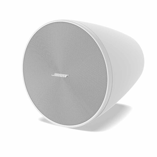 Bose DesignMax DM5P Loudspeaker