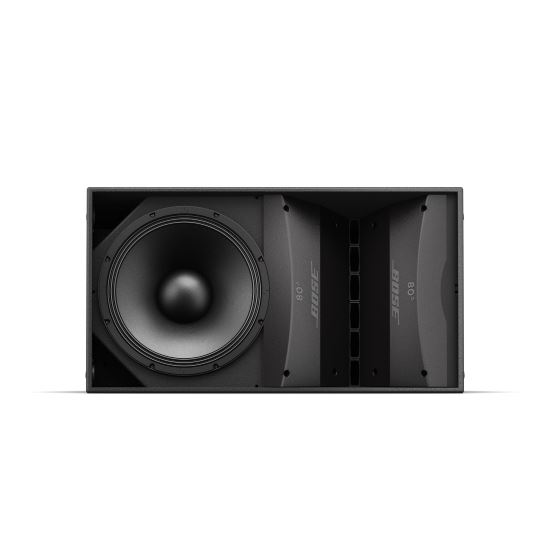 BOSE ArenaMatch AM20/80 Outdoor Loudspeaker
